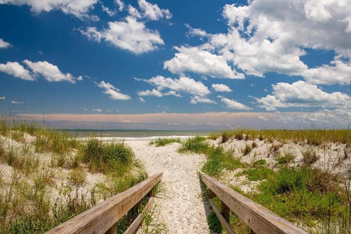 a path through the sand on a beach