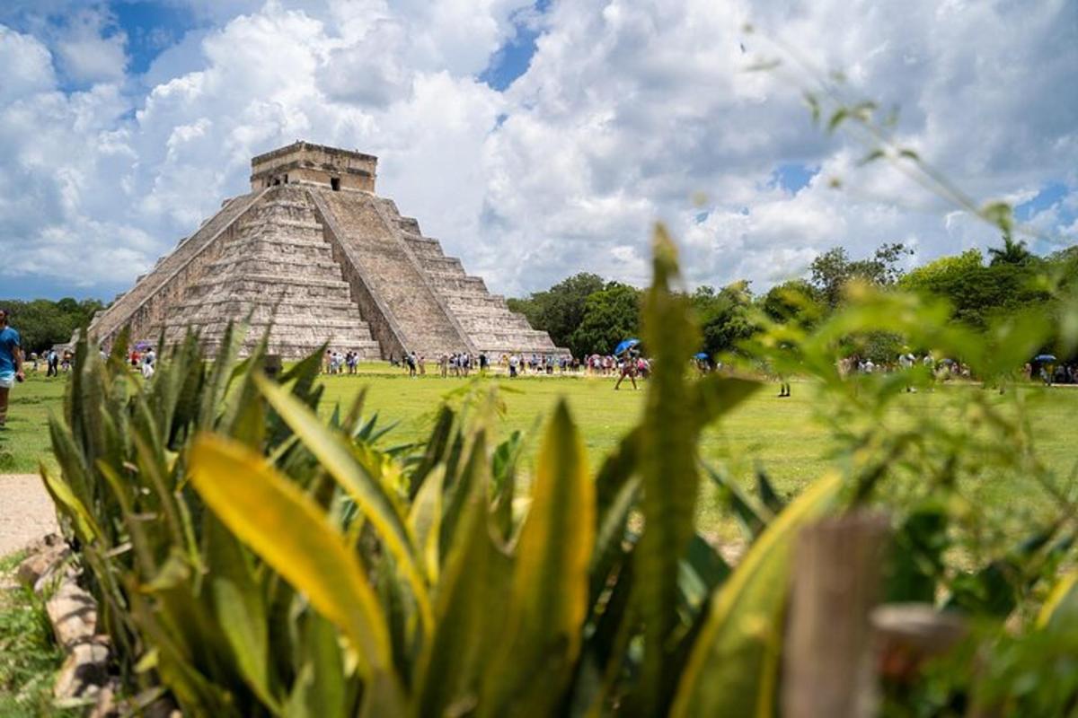 pyramida uprostřed pole s rostlinami