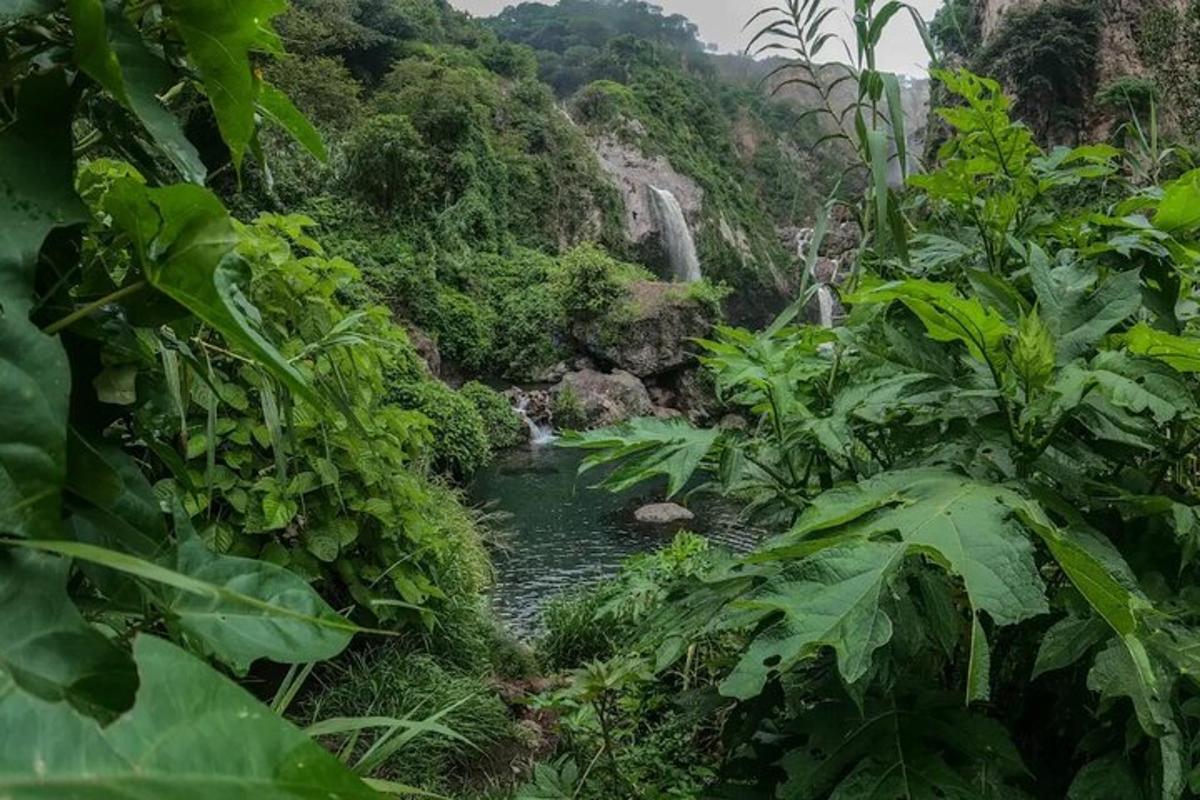 un fiume nella giungla con una cascata sullo sfondo