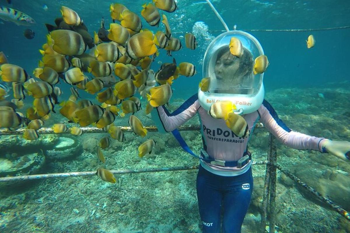 Una mujer está mirando peces en el agua.