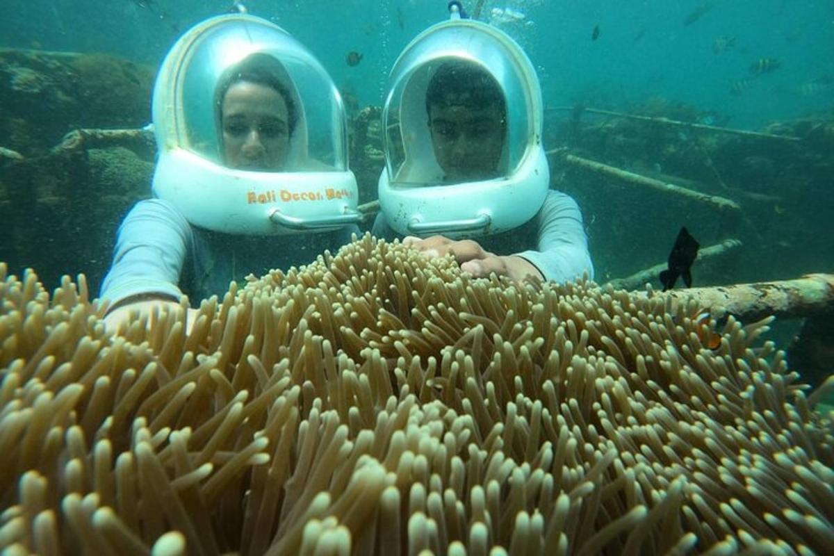 two people wearing diving suits looking at an coral reef