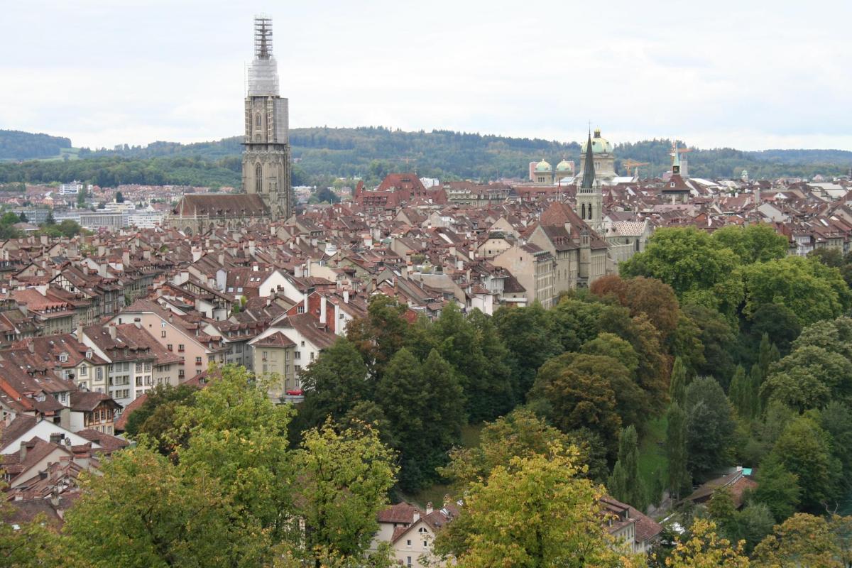 uma vista de uma cidade com edifícios e árvores