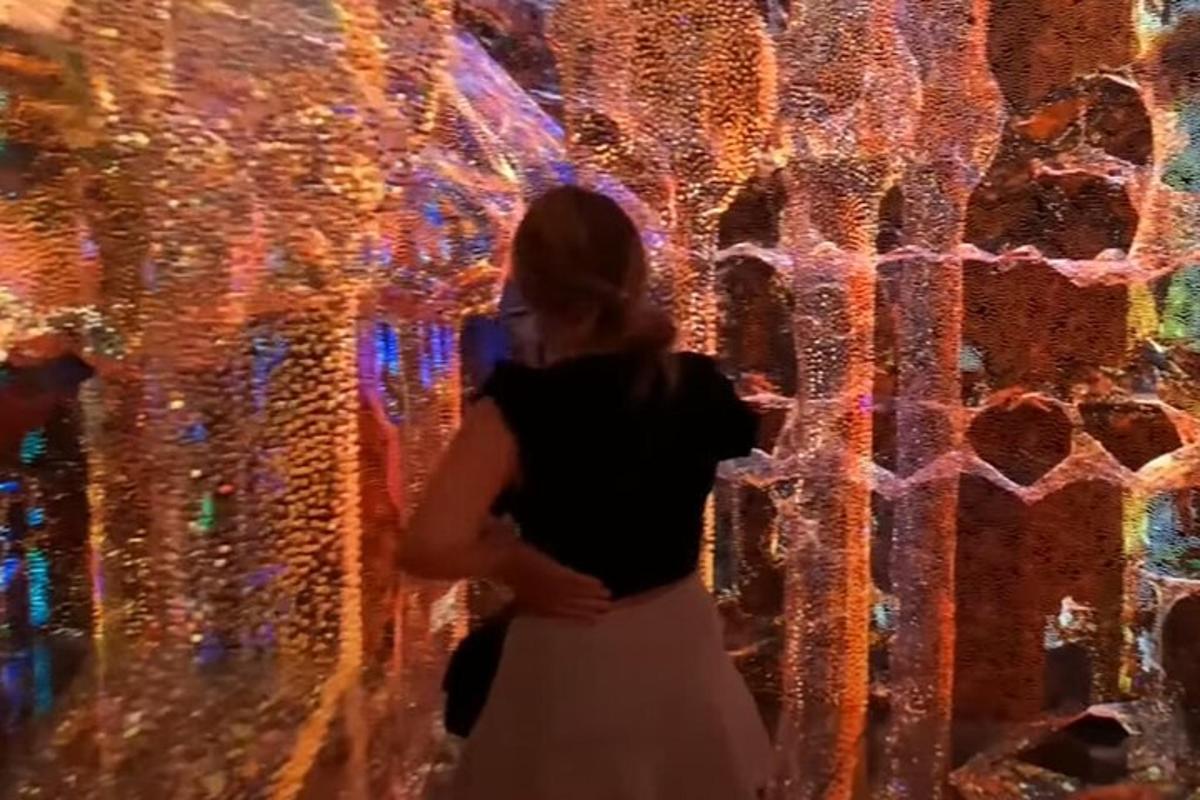 a woman standing in front of a wall covered in christmas lights