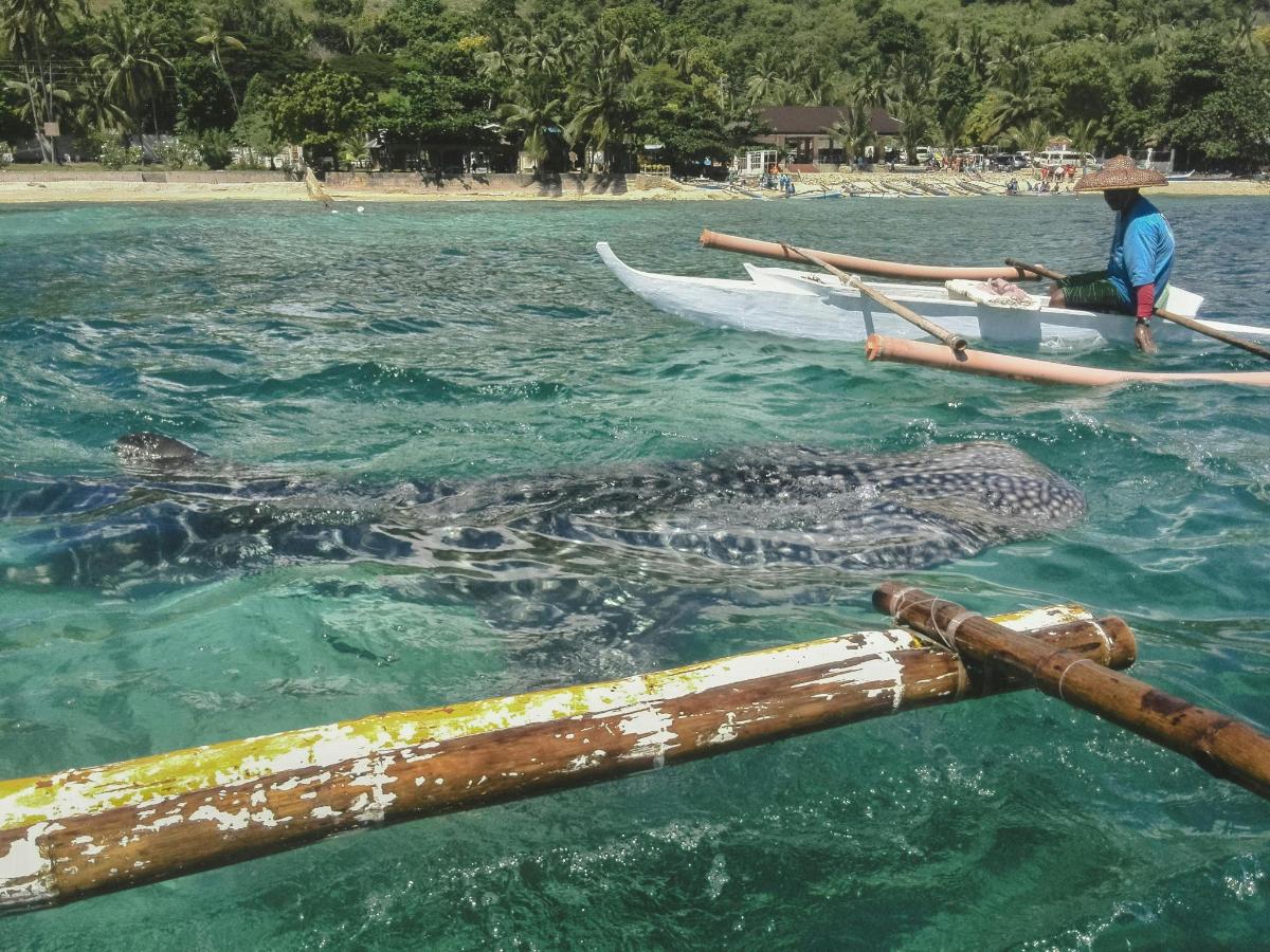 seorang pria di dalam perahu dengan sekelompok ikan di dalam air