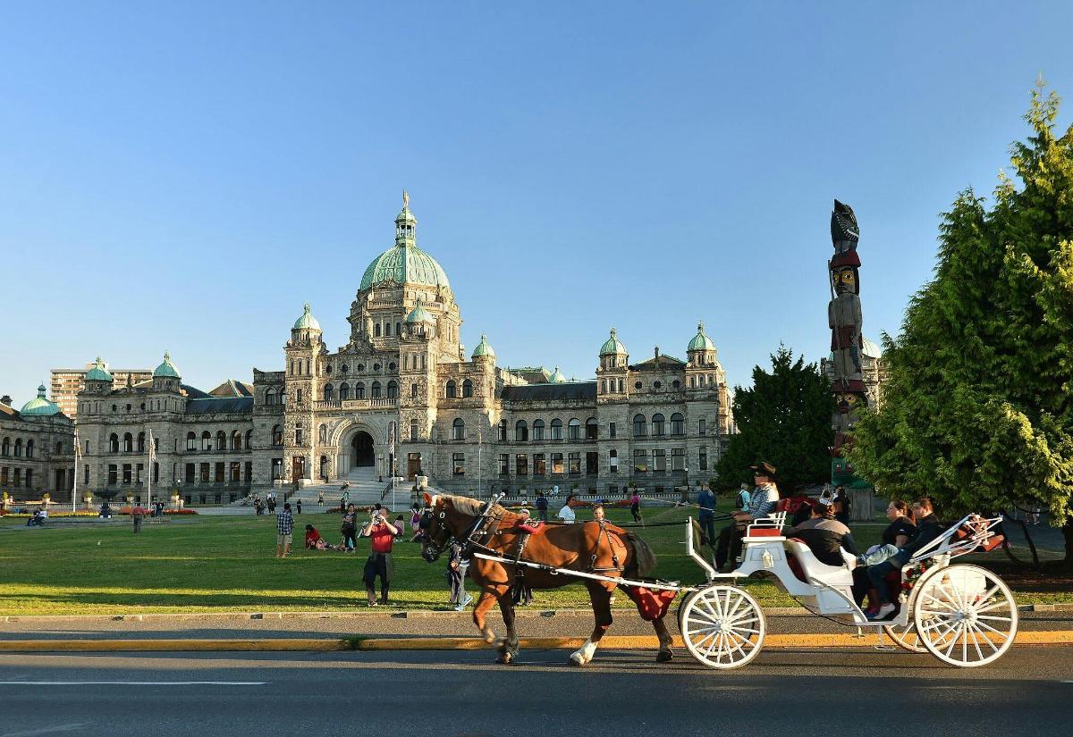 a horse drawn carriage in front of a large building