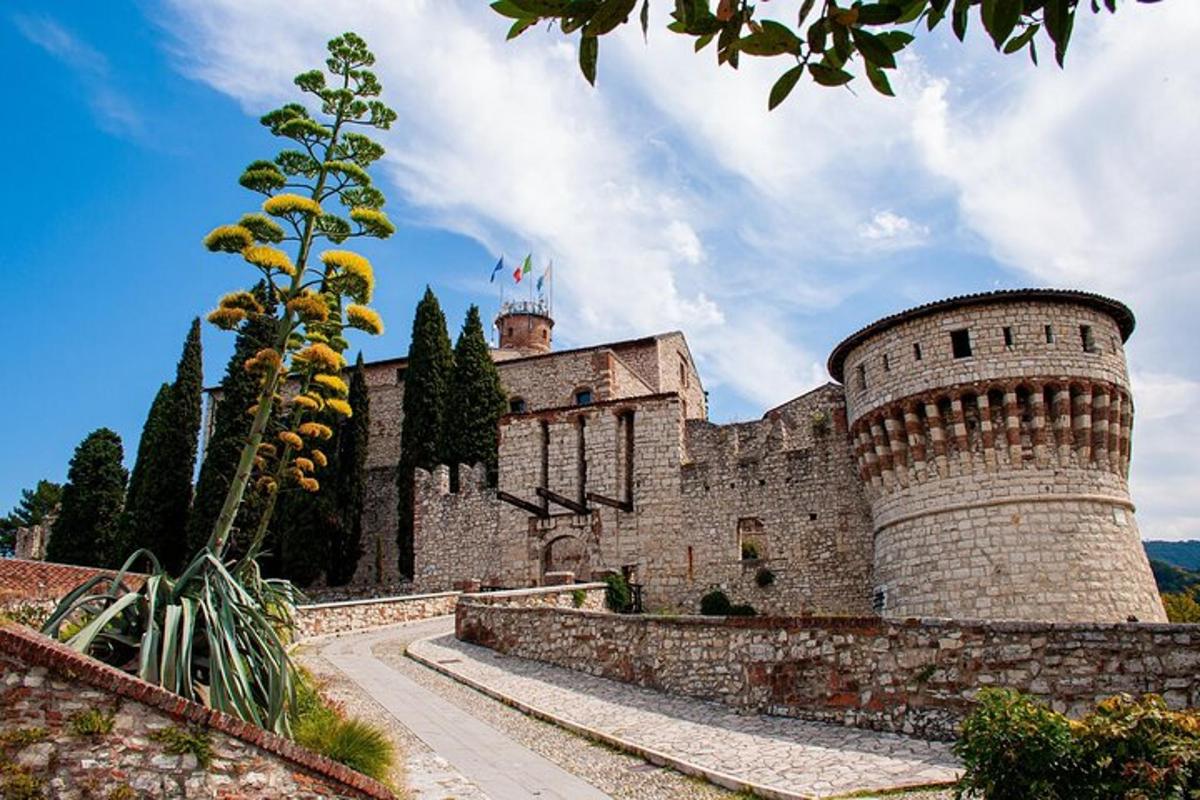 a castle with two towers and a tree in front of it