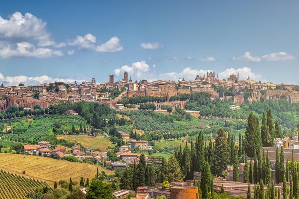 a city on top of a hill with trees