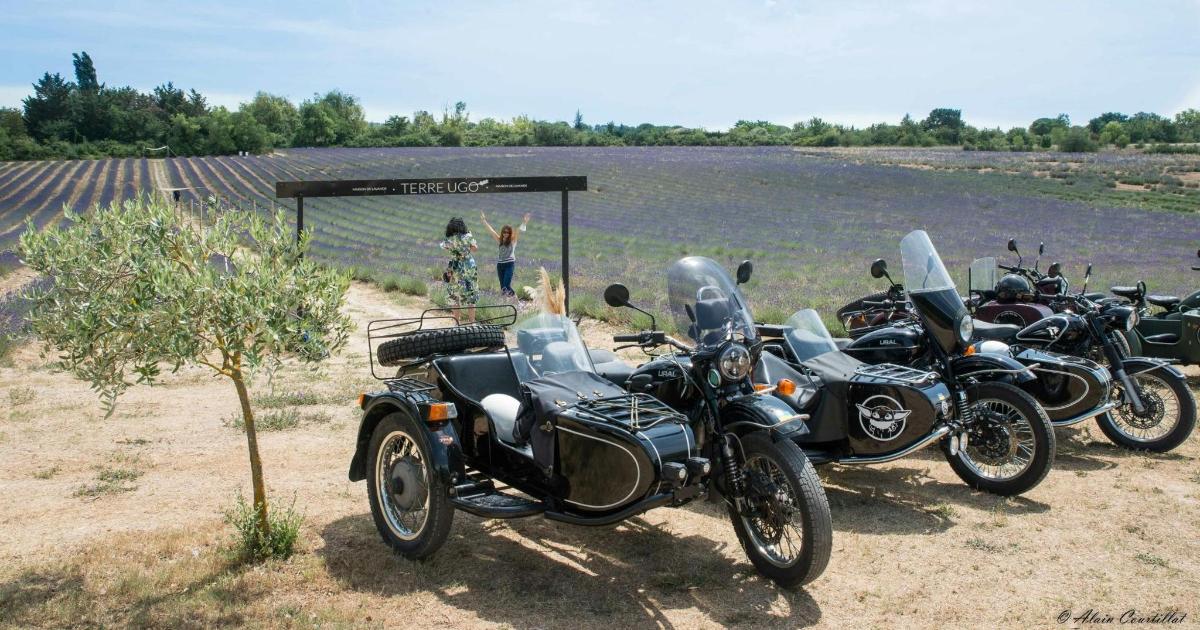 un grup de motocicletes aparcades al costat d'un camp