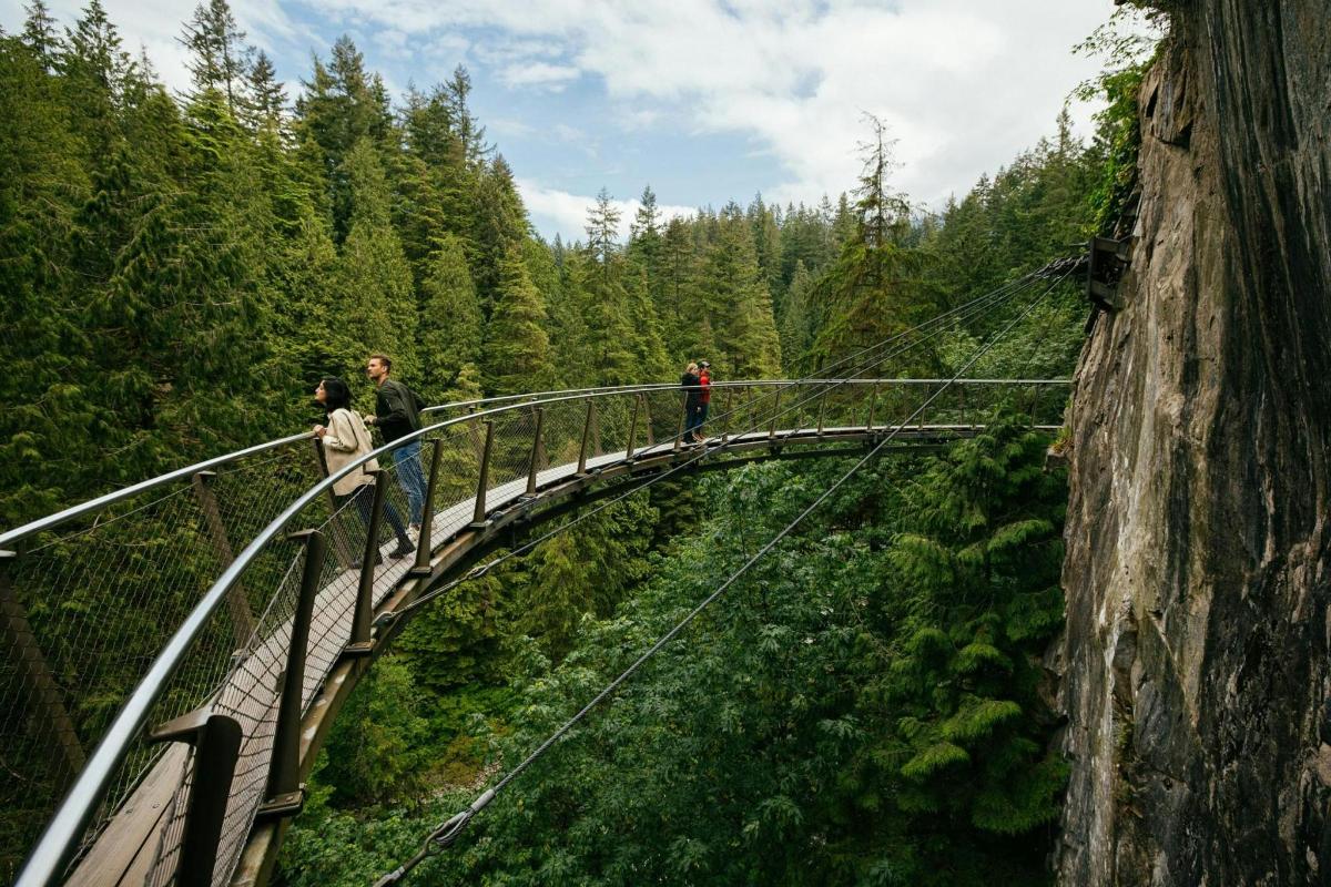 a group of people crossing a suspension bridge over a forest