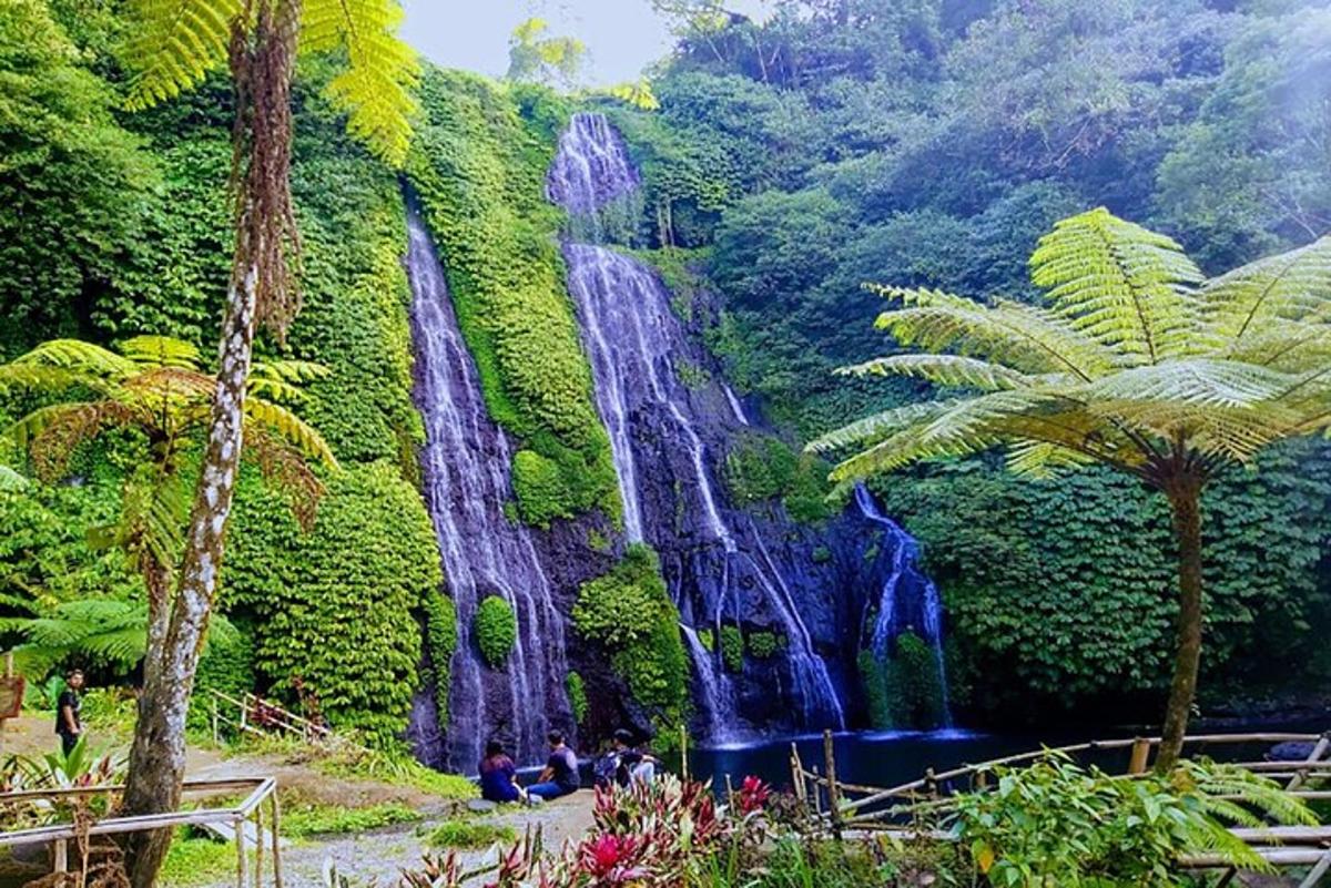 um mural de uma cachoeira em uma floresta