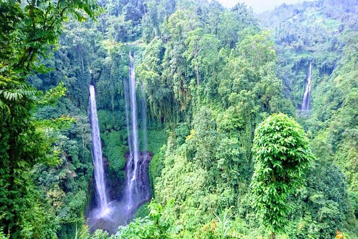 hai thác nước giữa rừng