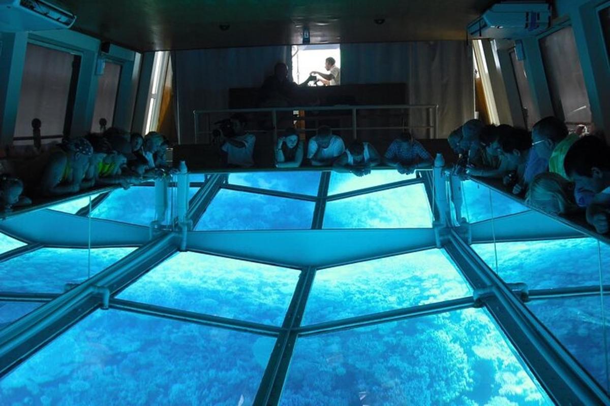 una vista del terra de vidre d'un aquari