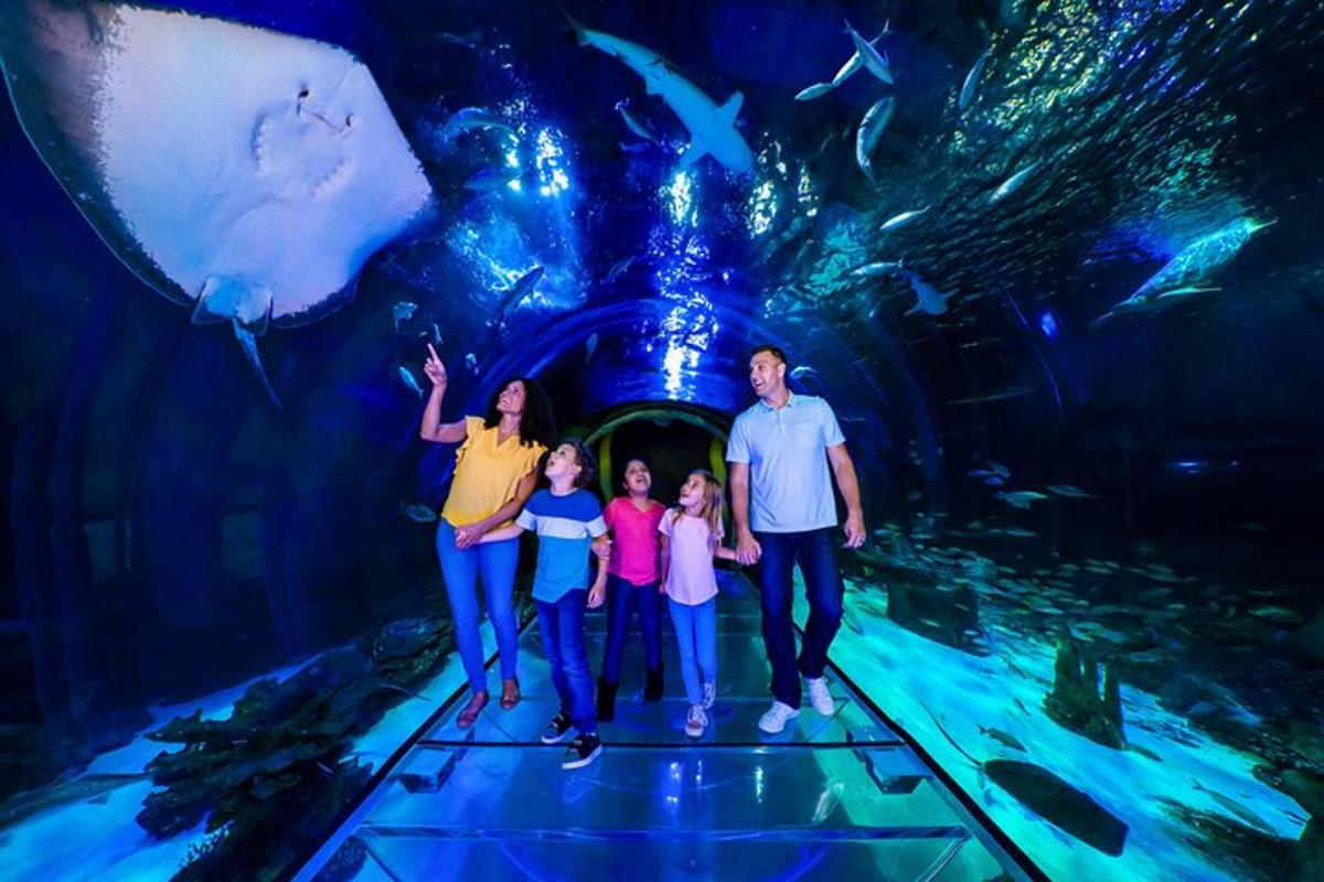 a family standing in front of an aquarium with fish