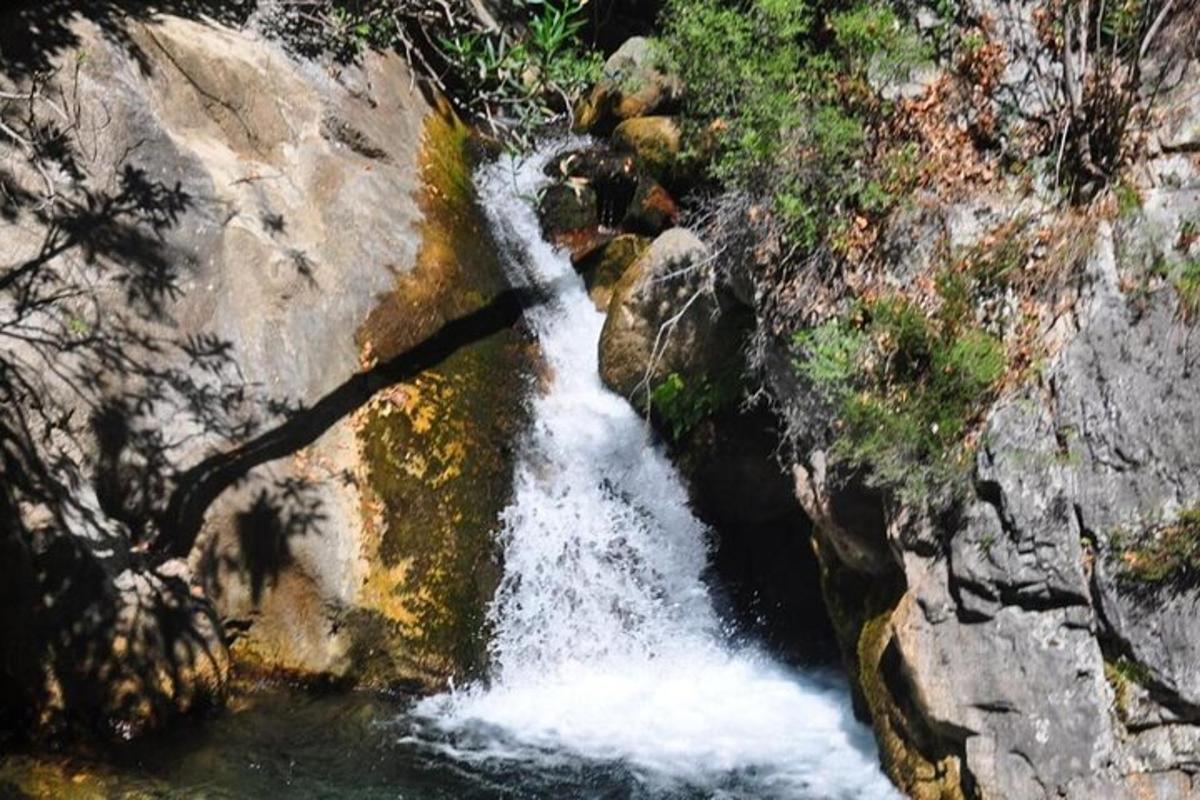una corriente de agua que corre por una ladera rocosa