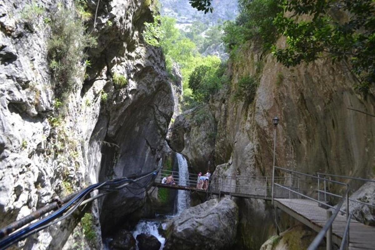 Un grupo de personas de pie en un puente sobre una cascada.