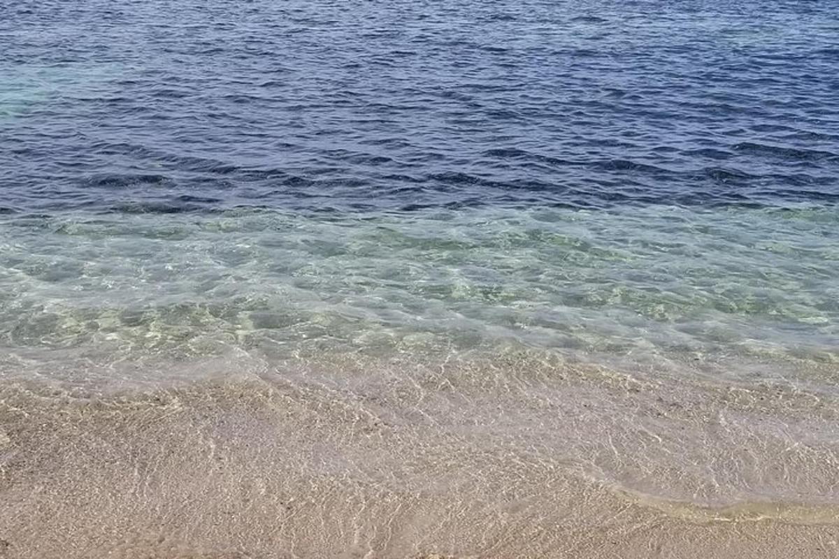 a view of the beach with the water