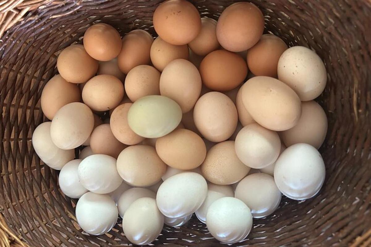 a basket full of brown and white eggs