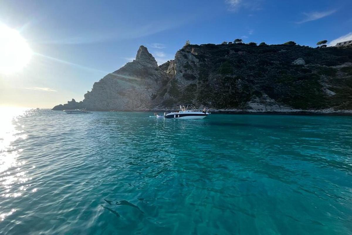 a dolphin swimming in the water next to a boat