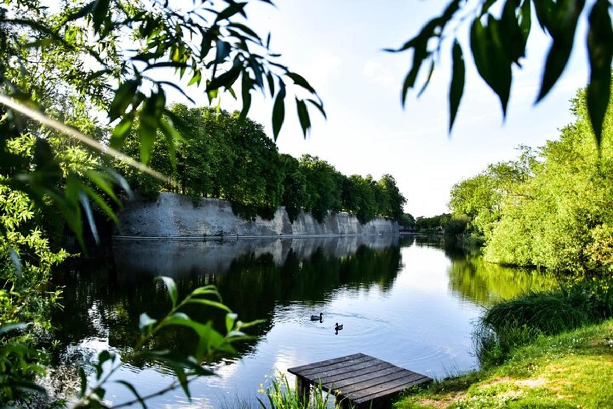 řeka se dvěma kachnami plavajícími ve vodě