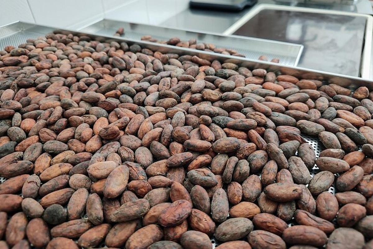 a large pile of nuts on a display