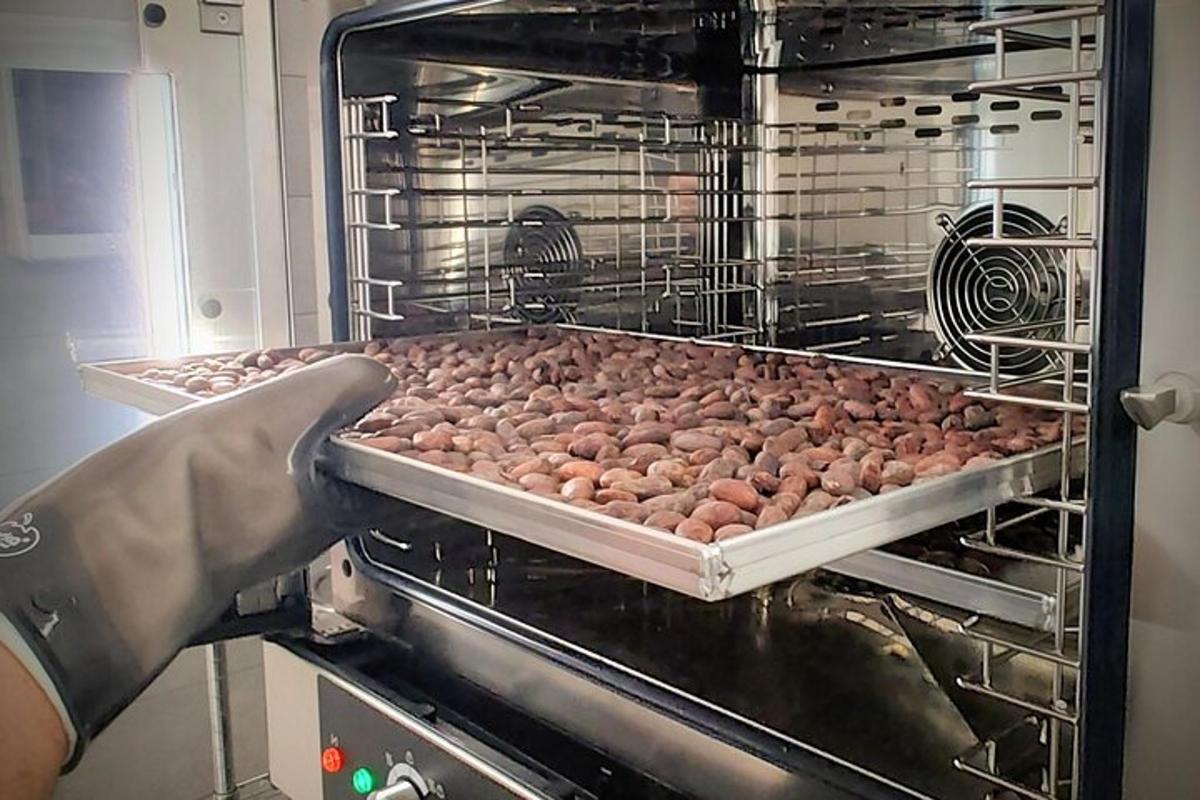 a person putting a tray of potatoes in an oven