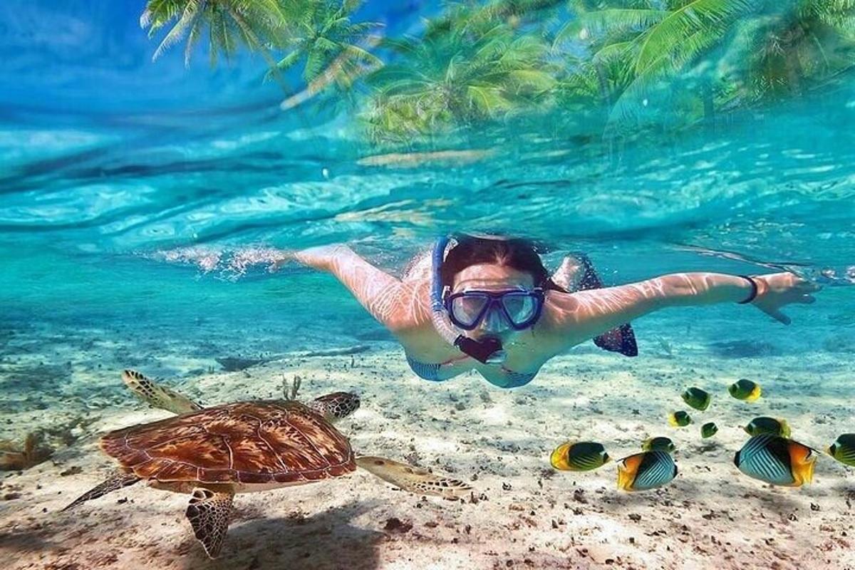 o femeie înotând în ocean lângă o broască țestoasă