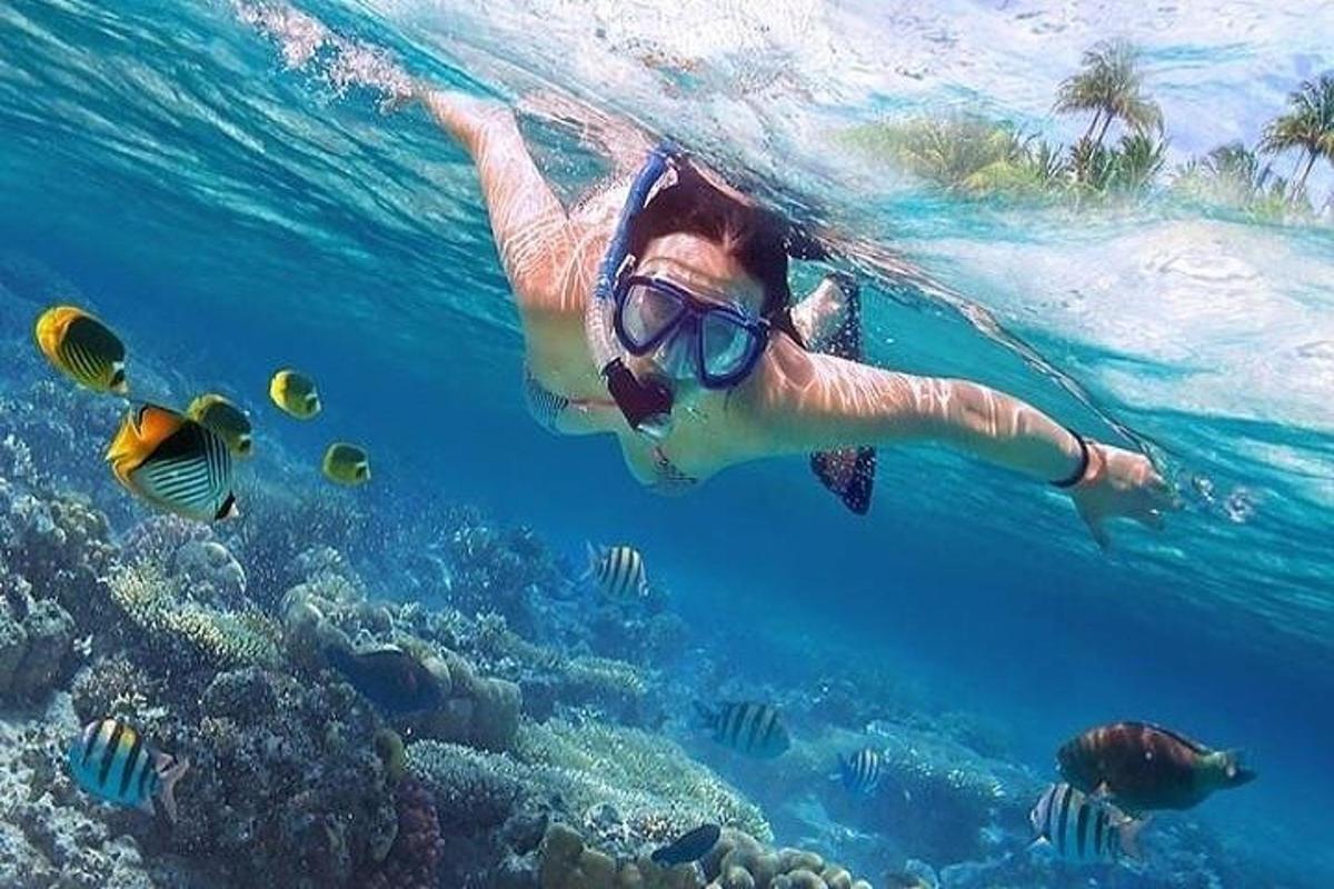una donna sta nuotando nell'oceano con i pesci