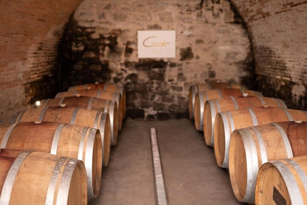 una filera de bótes de vi en un celler