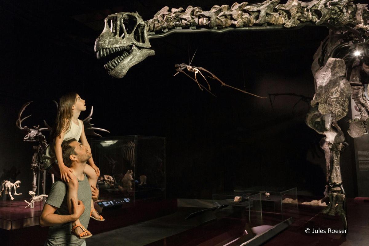 a man and a woman standing next to a dinosaur skeleton