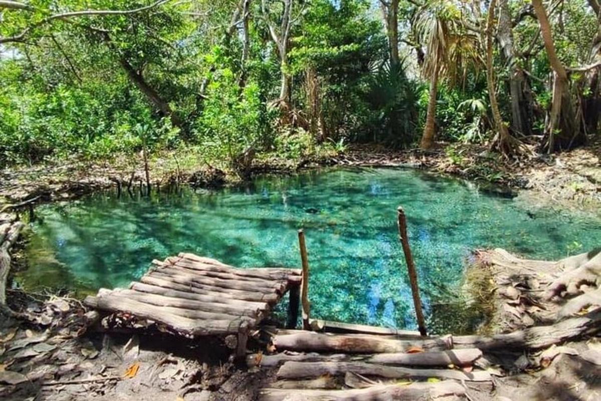 мали базен плаве воде у шуми