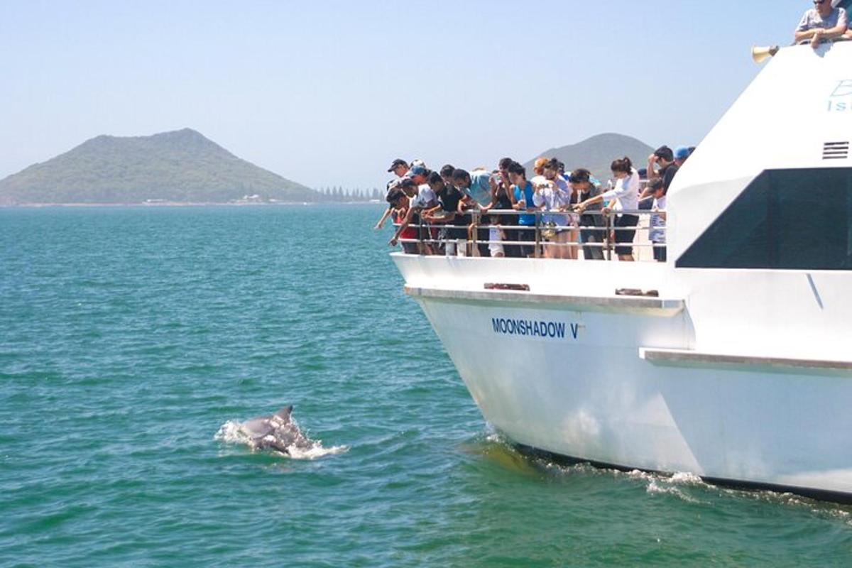a whale in the water next to a boat