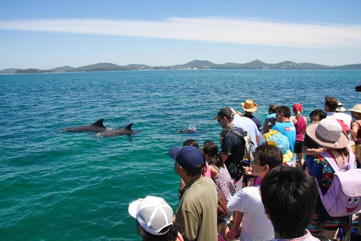 a crowd of people watching a dolphin in the water