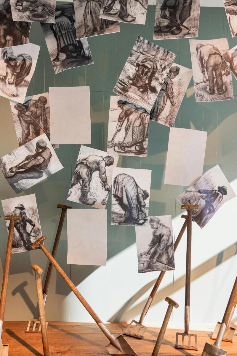 a collage of photos of animals on a wall