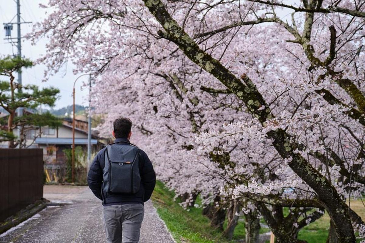 a man walking down a street next to a flowering tree