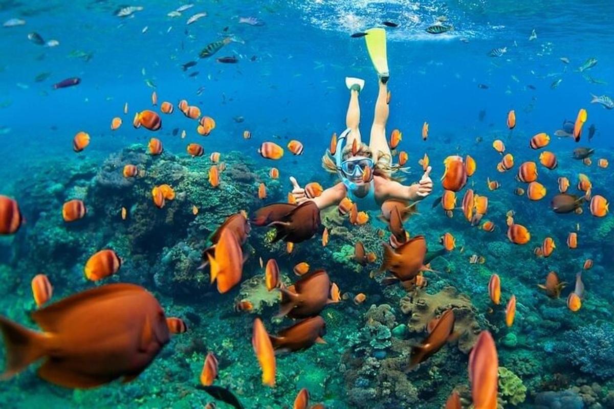 a woman swimming in the ocean with a school of fish