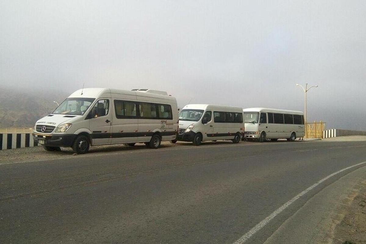 Tres autobuses blancos estacionados al costado de una carretera
