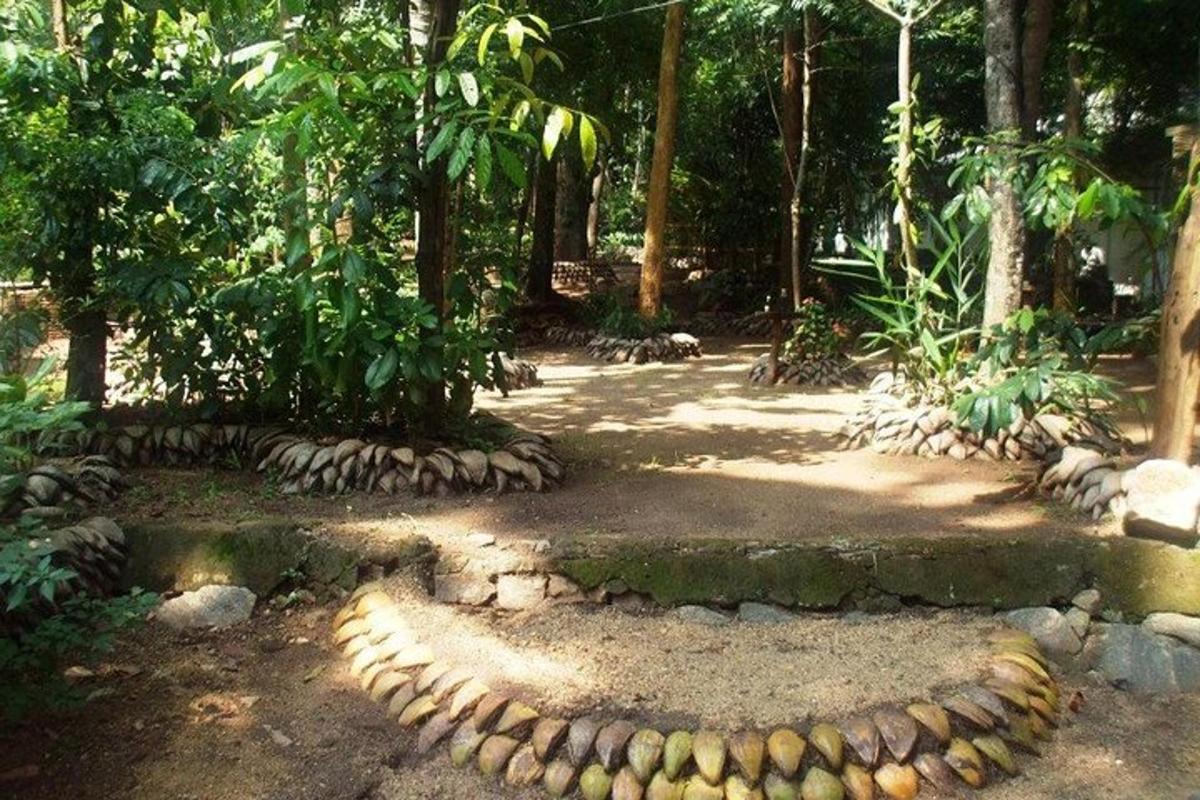 un jardín con un círculo de rocas y árboles