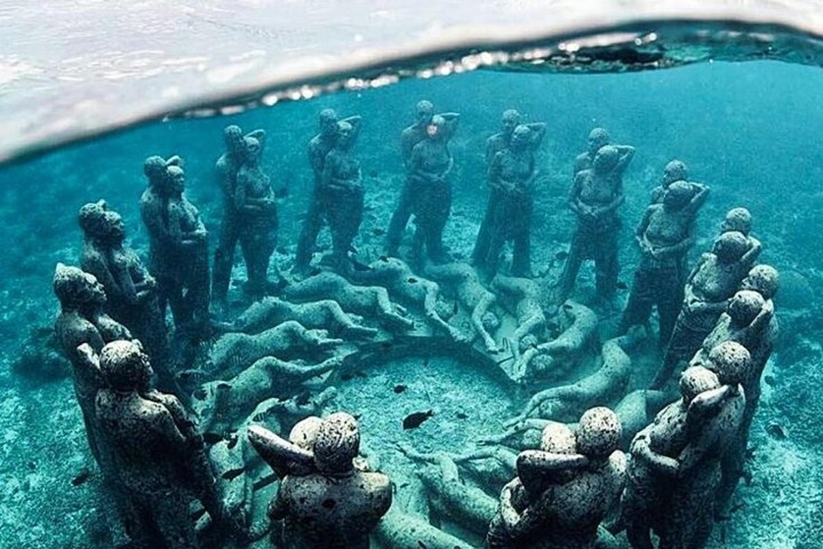 un grup de oameni care stau pe un recif de corali