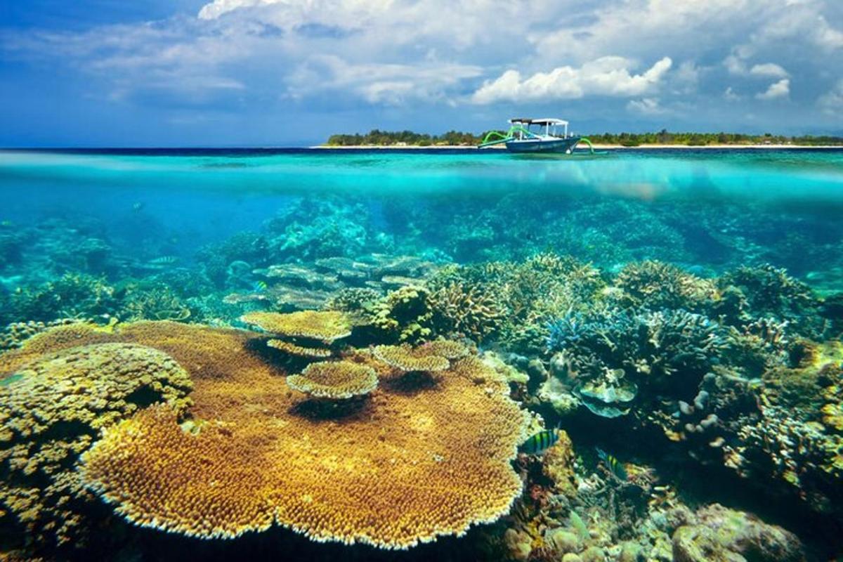 una barriera corallina con una barca nell'oceano