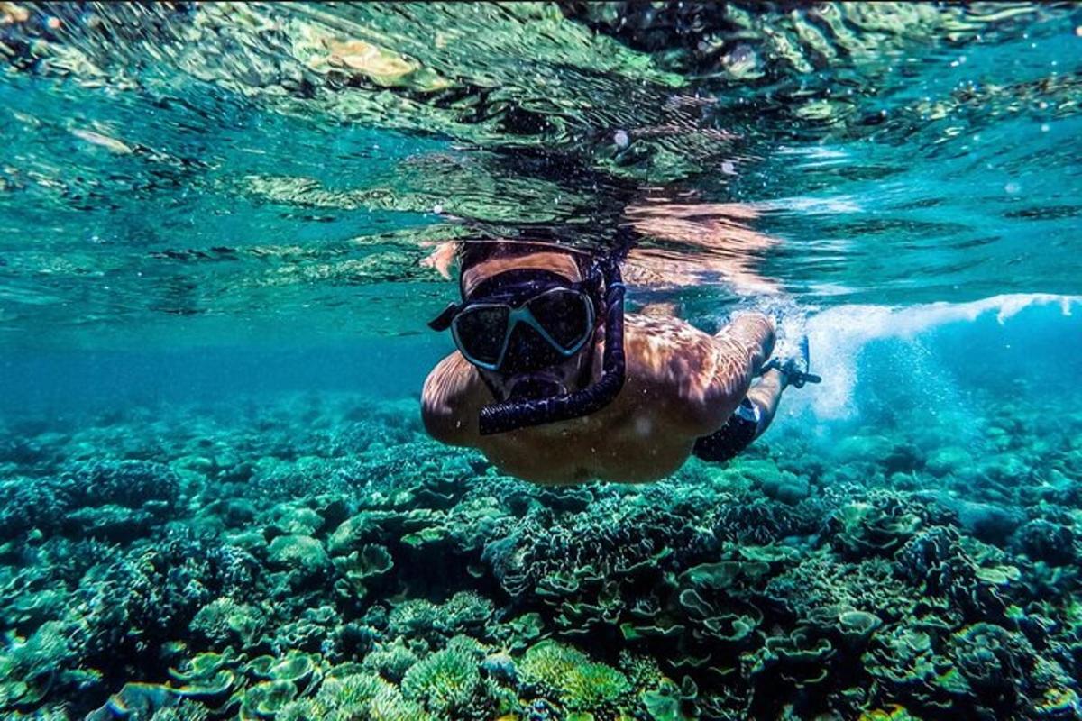 una persona che nuota nell'acqua con uno snorkel