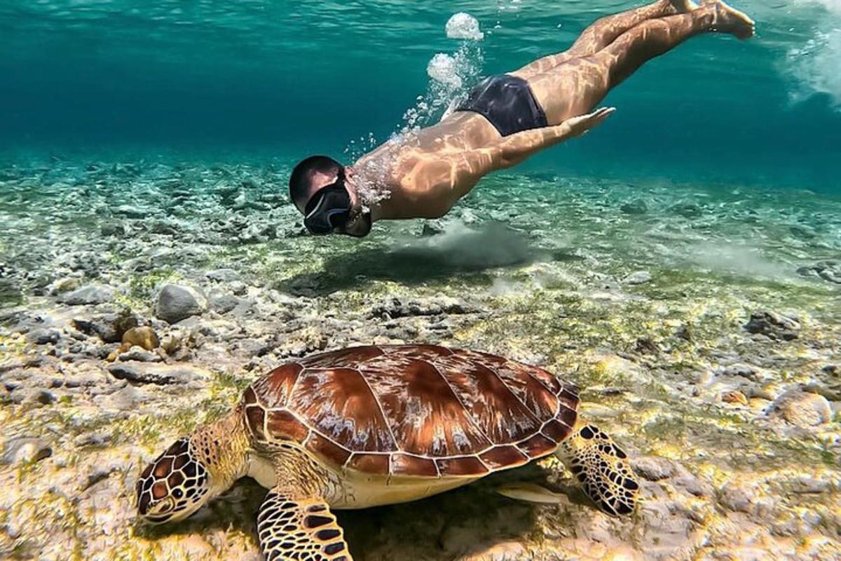 un bărbat care înoată lângă o broască țestoasă în ocean