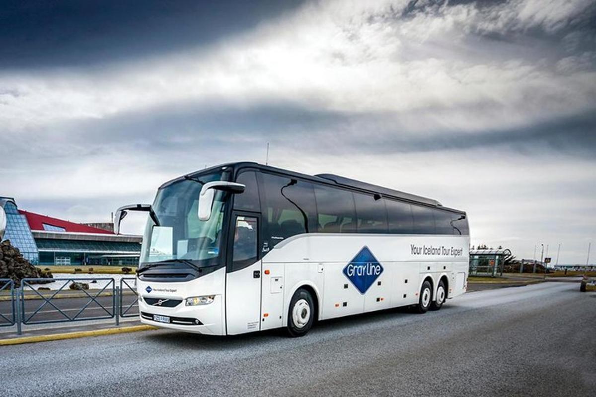 un autobus bianco sta percorrendo una strada