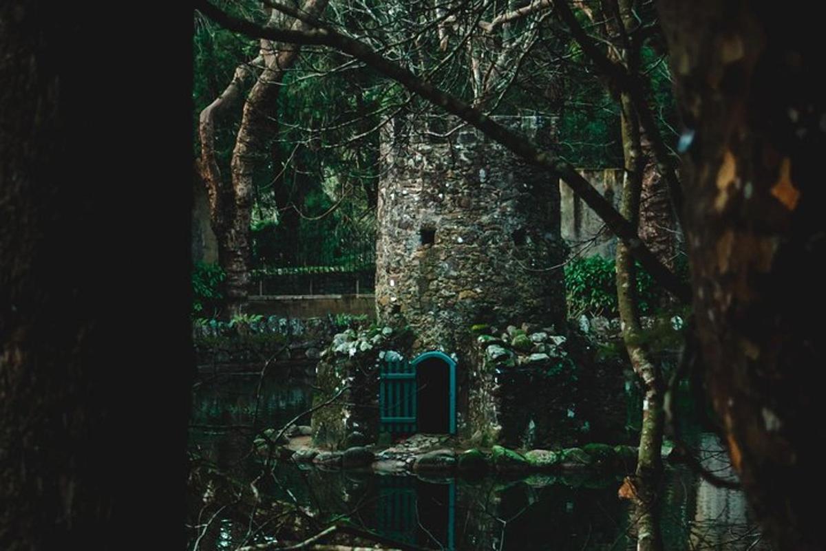 sebuah bangunan batu dengan pintu biru di dalam hutan