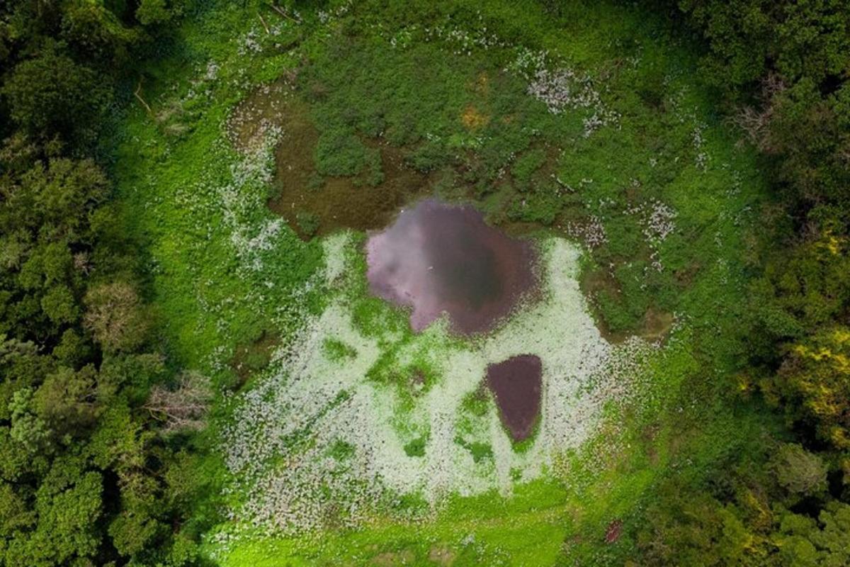 una vista aérea de un estanque en un campo de hierba