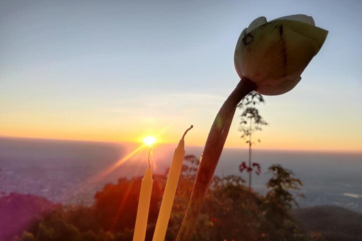 uma flor no topo de uma montanha ao pôr do sol