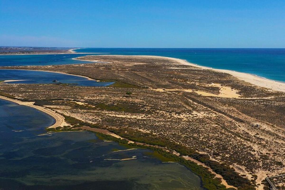 una vista aerea di un'isola nell'oceano