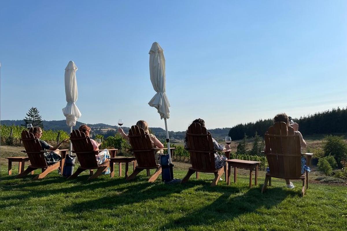 a group of people sitting in chairs in the grass