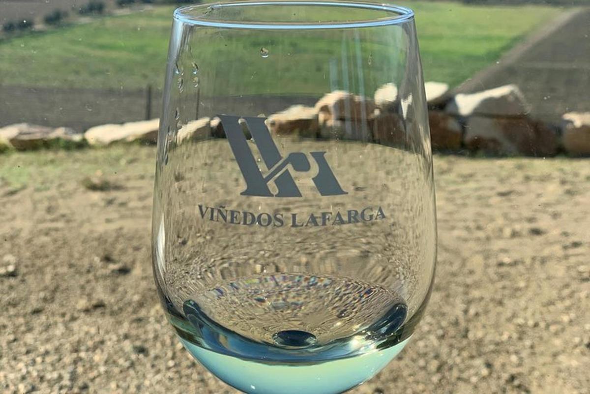 a glass of wine sitting on top of a table