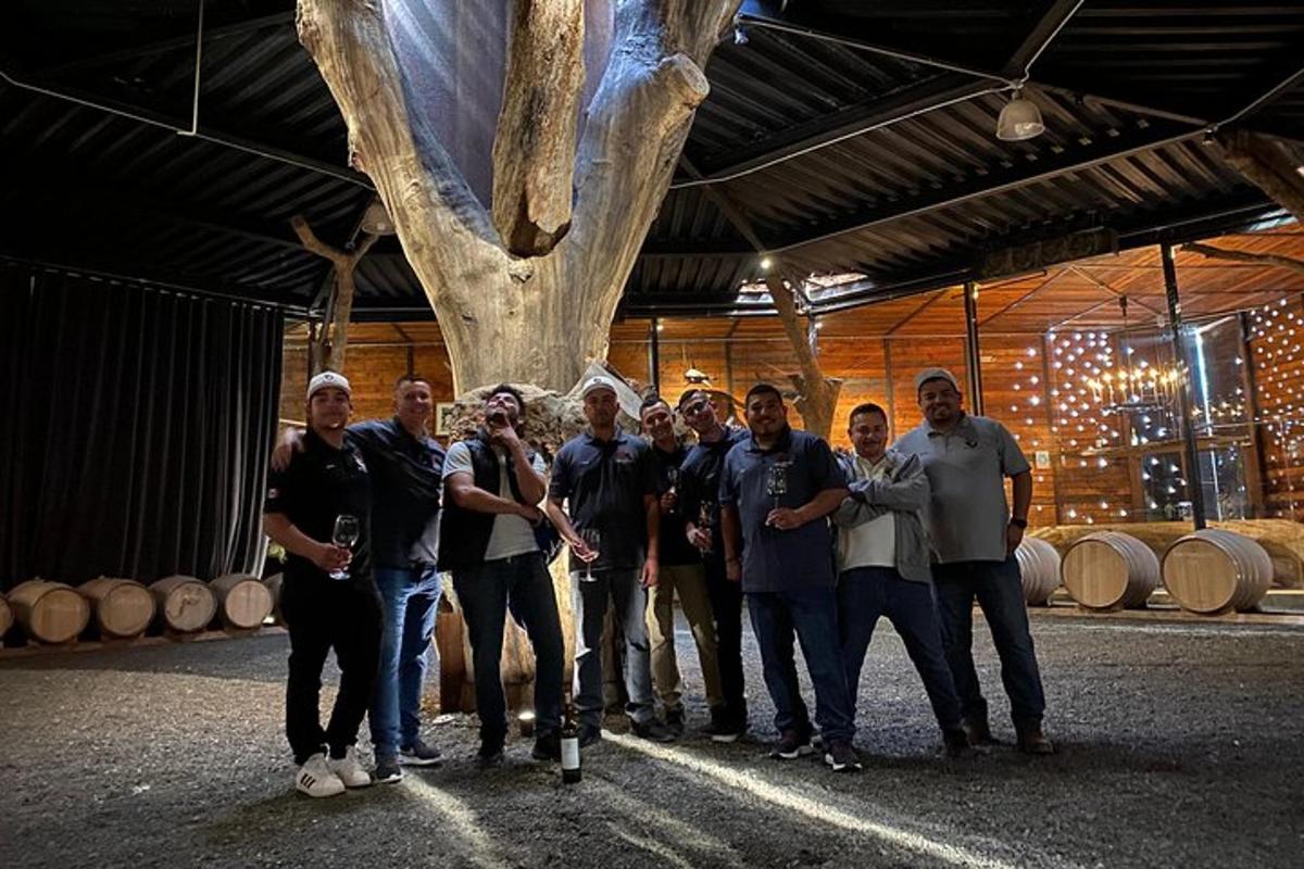 a group of people standing in front of a tree