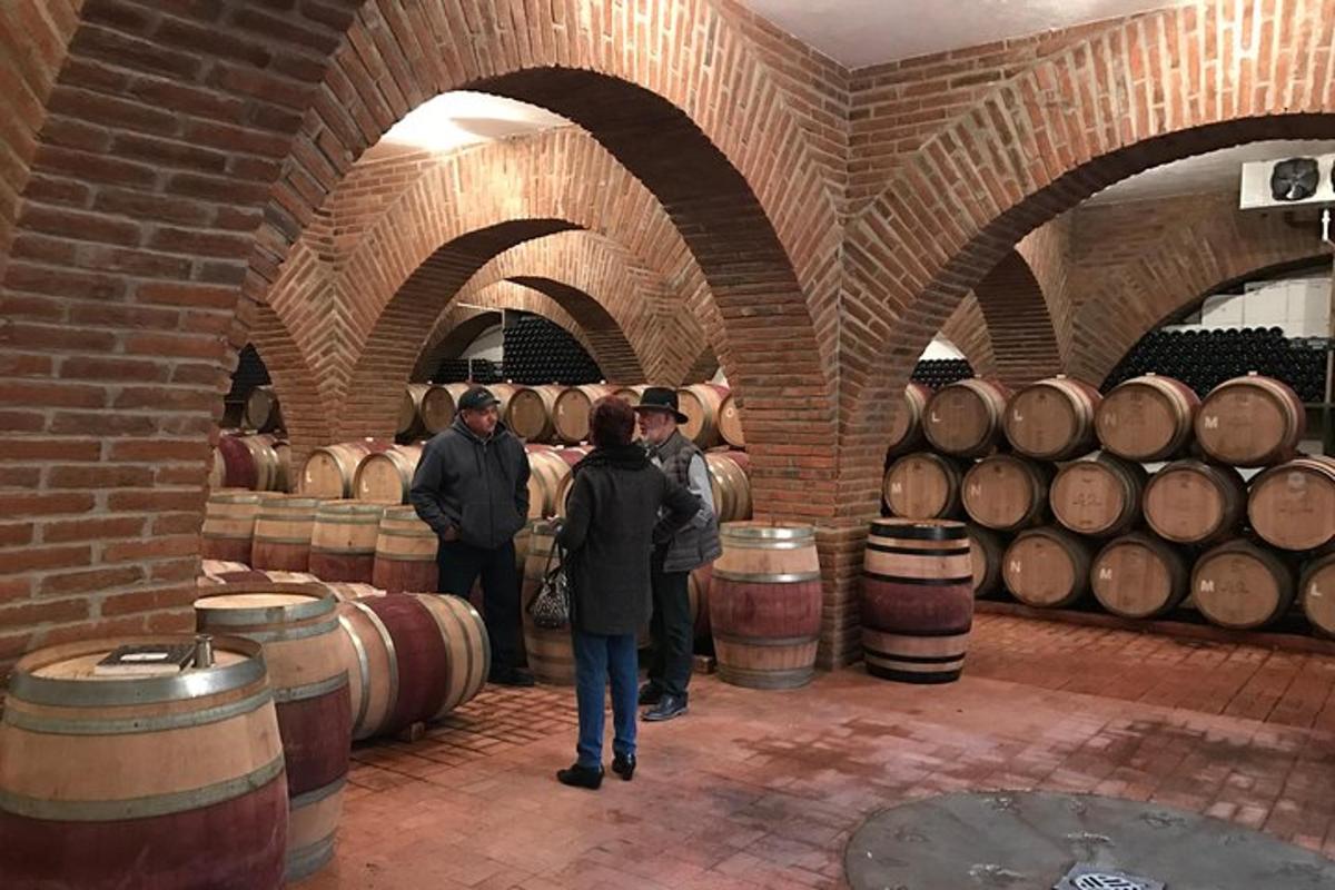 Skupina lidí stojících ve vinném sklepě se sudy